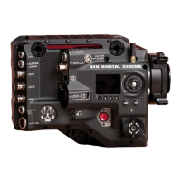 Preview: RED RANGER MONSTRO 8K VV