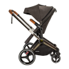 Stroller Logo