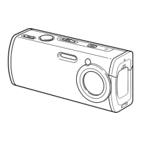 Preview: Sony Cyber-shot DSC-L1