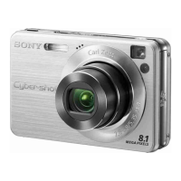 Preview: Sony Cyber-shot DSC-W110