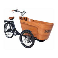 Preview: Babboe Carve-E