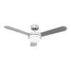 Fan Logo