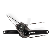 Preview: Pinion C-Line C1.12