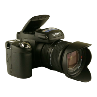Preview: Sony DSC-R1 Fall 2005