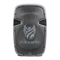 Preview: BLACKMORE BJC-15X2BT