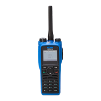 Preview: Hytera PD-795 Ex