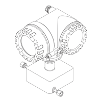 Preview: Endress+Hauser Cubemass DCI