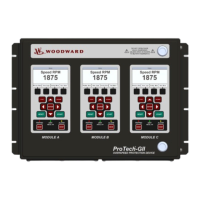 Preview: Woodward ProTech-GII 8237-1594