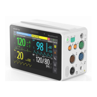 Preview: Mindray BeneVision N1