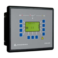 Preview: Woodward DTSC-200