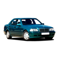 Preview: Mercedes-Benz C 220 1996
