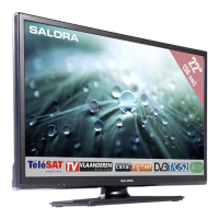Preview: Salora 22LED9109CTS2DVD