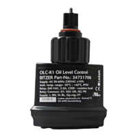 Preview: Bitzer Group Lodam OLC-K1