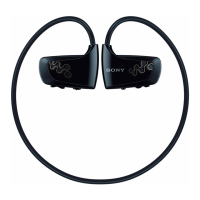 Preview: Sony Walkman NWZ-W262