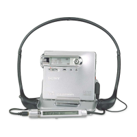 Preview: Sony MZ-N10