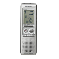 Preview: Sony ICD-B500
