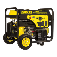 Preview: Champion 100203