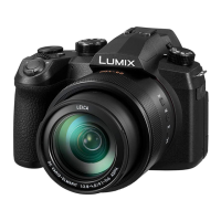 Preview: Panasonic Lumix  DC-FZ10002