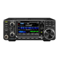 Preview: Icom IC7300