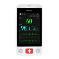 Preview: Mindray BeneVision TM80