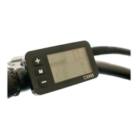 Preview: BIGSTONE C300S-LCD