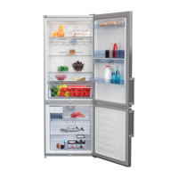 Preview: Beko RCNE520E31DZX