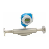 Preview: Proline Promass F 300