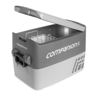 Preview: COMPANION COMP02012