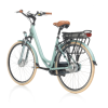 Bicycle Logo