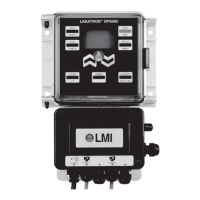 Preview: LMI LIQUITRON DP5000 Series