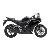 Preview: Honda CBR 250R