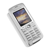 Preview: Sony Ericsson K310i