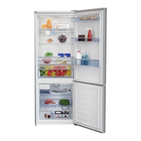 Preview: Beko RCNE520E20ZGW