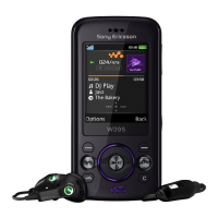 Preview: Sony Ericsson W395