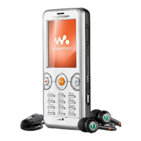 Preview: Sony Ericsson Walkman W610i