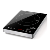 Preview: duxtop E200A