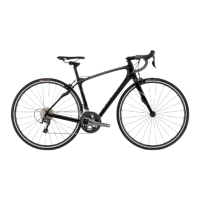 Preview: Specialized Ruby