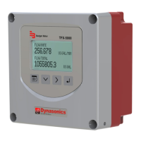 Preview: Badger Meter Dynasonics TFX-5000