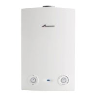 Preview: Worcester Greenstar Ri ErP + Series