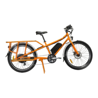 Preview: Rad Power Bikes Radwagon 2016
