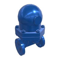 Preview: Spirax Sarco FT43