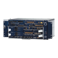 Preview: Eci Telecom XDM-100