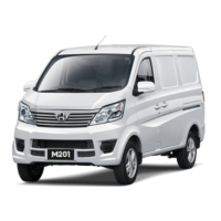 Preview: Chana M201 2014