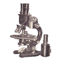 Preview: Spencer Buffalo Model 44