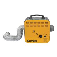 Preview: Gasmate CH100