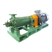 Preview: Torishima Pump MML