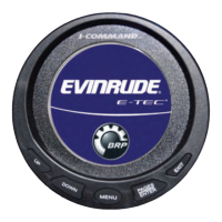 Preview: I-Command Evinrude Etec Series