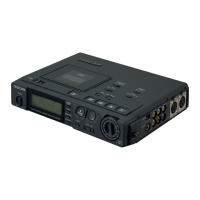 Preview: Tascam DA-P1