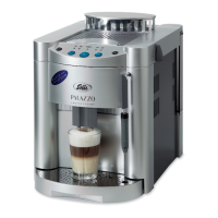 Preview: SOLIS Palazzo Rapid Steam