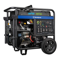 Preview: Westinghouse WGen12000DF